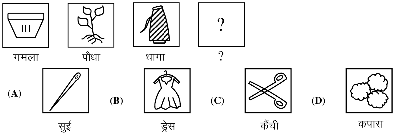 Four boxed pictures labelled Pot, Plant, Thread and a question mark; below, four option pictures: (A) Needle, (B) Dress, (C) Scissors, (D) Cotton.